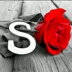 Meet your Posher, Safa